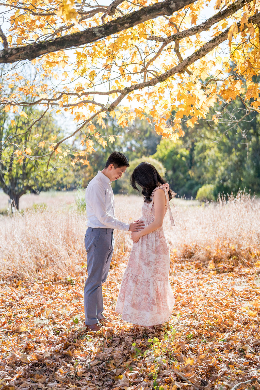 Maternity photos